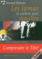 Capa do artigo Les Lamas Se Cachent Pour Renaître