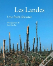 Les Landes ; Une Forêt Dévastée