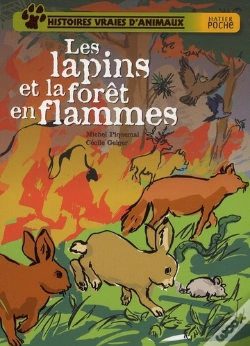 Capa do artigo Les Lapins Et La Forêt En Flammes