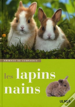 Capa do artigo Les Lapins Nains