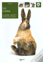Capa do artigo Les Lapins