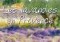 Les Lavandes En Provence Calendrier Mural 2018 Din A3 Horizontal - Preview