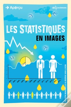 Capa do artigo Les Les Statistiques En Images