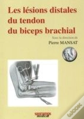 Les Lésions Distales Du Tendron Du Biceps Brachial