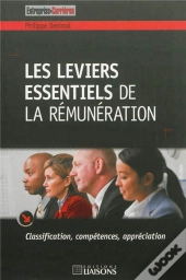 Les Leviers Essentiels De La Remuneration
