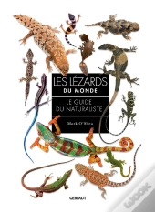 Les Lézards Du Monde