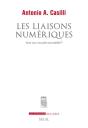 Les Liaisons Numériques ; Vers Une Nouvelle Sociabilité ? - Preview