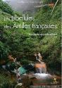 Les Libellules Des Antilles Françaises - Preview