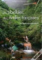 Les Libellules Des Antilles Françaises