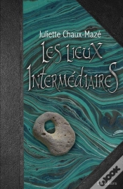 Capa do artigo Les Lieux Intermédiaires Tome 2 : Le Pays Gris