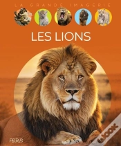 Capa do artigo Les Lions