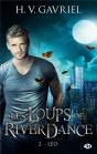 Les Loups De Riverdance Tome 2 : Léo - Preview