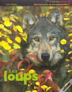 Capa do artigo Les Loups