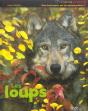 Les Loups - Preview