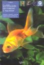 Les Maladies Des Poissons D'Aquarium - Preview