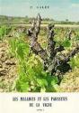 Les Maladies Et Les Parasites De La Vigne T.1 ; Maladies - Preview