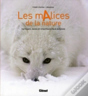 Capa do artigo Les Malices De La Nature ; Tactiques, Ruses Et Stratégies Pour Survivre