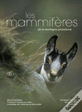 Les Mammifères De La Montagne Jurassienne