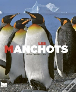 Capa do artigo Les Manchots