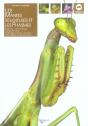 Les Mantes Religieuses Et Les Phasmes - Preview