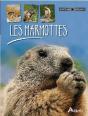 Les Marmottes - Preview