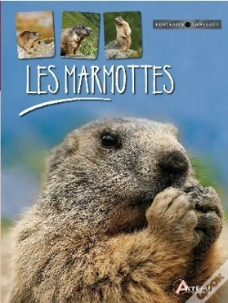 Capa do artigo Les Marmottes