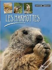 Capa do artigo Les Marmottes