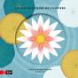 Les Matematiques De Lunivers - Preview