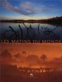Les Matins Du Monde - Preview