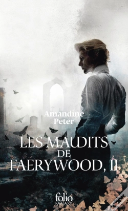 Capa do artigo Les Maudits De Faerywood Tome 2