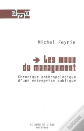 Les Maux Du Management ; Chronique Anthropologique D'Une Entreprise Publique