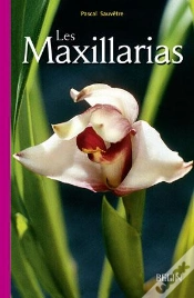 Capa do artigo Les Maxillarias