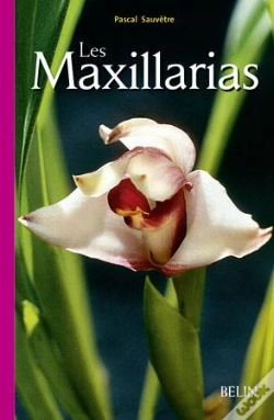 Capa do artigo Les Maxillarias