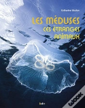 Capa do artigo Les Méduses ; D