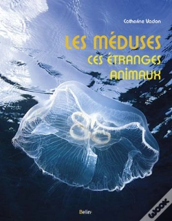 Capa do artigo Les Méduses ; D'Étranges Animaux