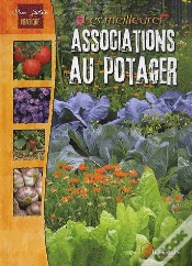 Capa do artigo Les Meilleures Associations Au Potager