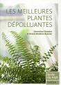 Les Meilleures Plantes Dépolluantes - Preview