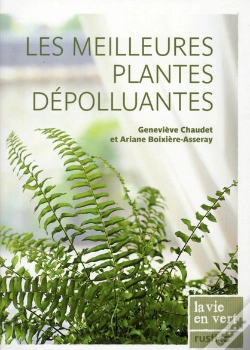 Capa do artigo Les Meilleures Plantes Dépolluantes