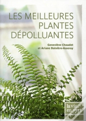 Les Meilleures Plantes Dépolluantes