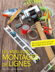 Capa do artigo Les Meilleurs Montages De Lignes