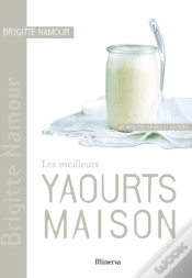 Capa do artigo Les Meilleurs Yaourts Maison