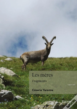 Capa do artigo Les Mères : Fragments