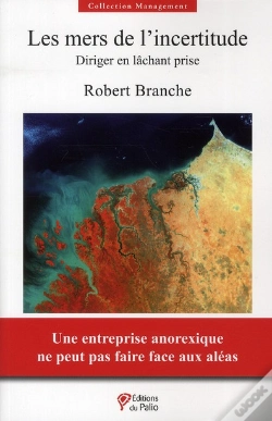 Capa do artigo Les Mers De L'Incertitude ; Diriger En Lâchant Prise