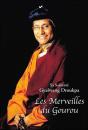 Les Merveilles Du Gourou - Preview