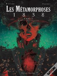 Les Métamorphoses 1858 Tome 1 : Tyria Jacobaeae