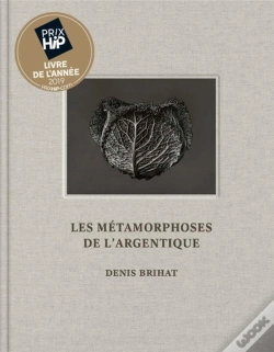 Capa do artigo Les Metamorphoses De L'Argentique