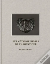Les Métamorphoses De L'Argentique