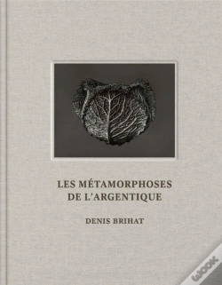 Capa do artigo Les Métamorphoses De L'Argentique