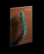 Les Meteores - Preview