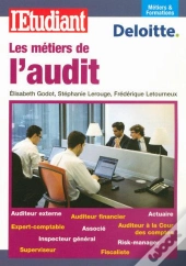 Les Métiers De L'Audit